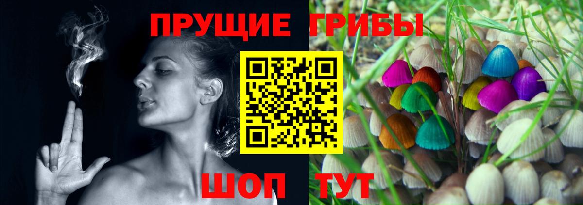 Псилоцибиновые грибы MAGIC MUSHROOMS  Псилоцибиновые грибы Magic Shrooms  Звенигород  Вход с VPN 